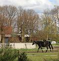 M & M rit 17-4-2016 fotoreportage-Marie-lou (72)